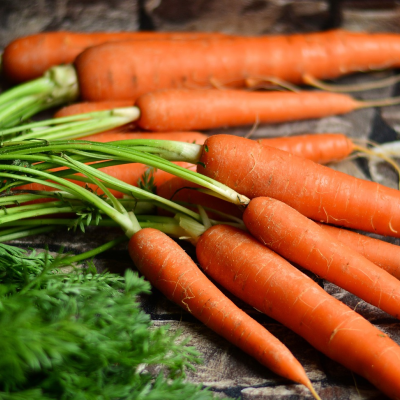 The Difference between Worming Paste and Carrots